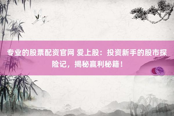 专业的股票配资官网 爱上股：投资新手的股市探险记，揭秘赢利秘籍！