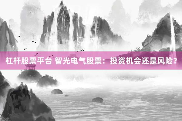 杠杆股票平台 智光电气股票：投资机会还是风险？