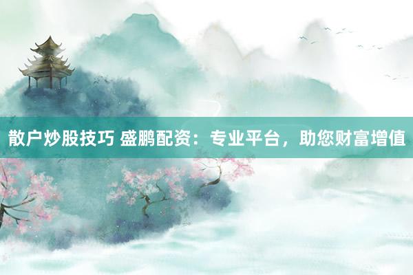 散户炒股技巧 盛鹏配资：专业平台，助您财富增值