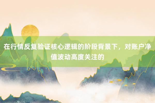 在行情反复验证核心逻辑的阶段背景下，对账户净值波动高度关注的