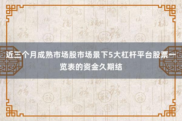 近三个月成熟市场股市场景下5大杠杆平台股票一览表的资金久期结