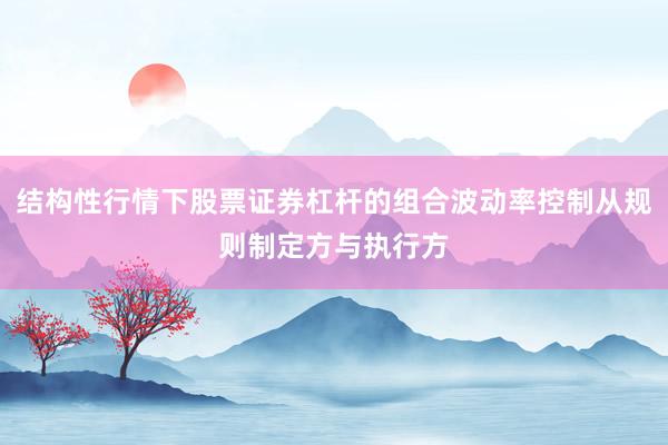 结构性行情下股票证券杠杆的组合波动率控制从规则制定方与执行方