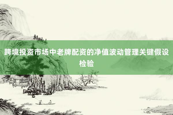 跨境投资市场中老牌配资的净值波动管理关键假设检验