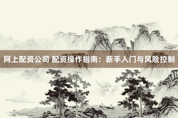 网上配资公司 配资操作指南：新手入门与风险控制